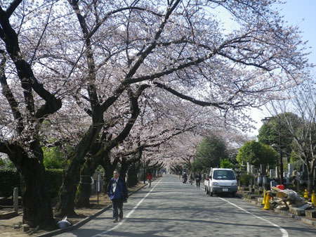 日中雑感259　そうだ、花見にいこう！_f0193076_11203851.jpg