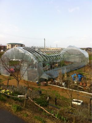 4月の嵐_b0050079_1055274.jpg