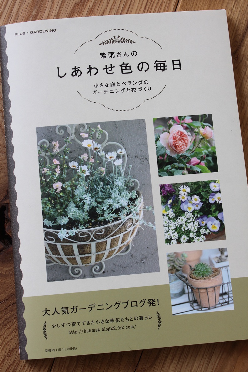 しあわせ色の毎日_c0146581_1115482.jpg