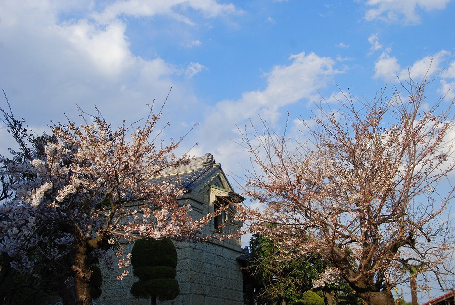 c0187781_18757.jpg