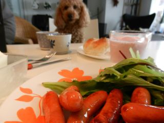 2012年4月5日 二号車_b0098584_1925729.jpg