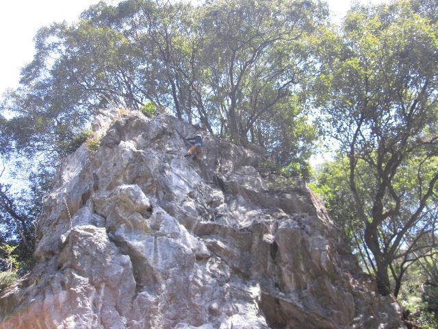 b0050787_22594158.jpg