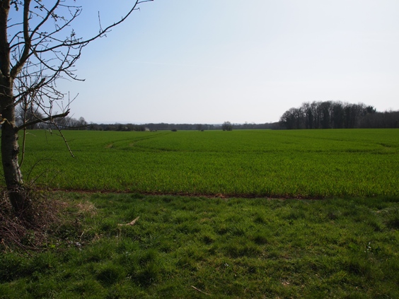 c0132488_011566.jpg