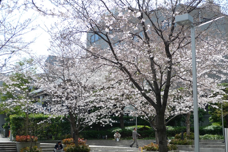 a0127090_2031375.jpg