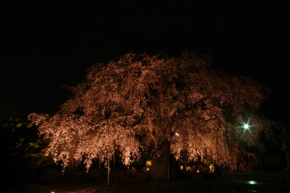 f0208490_2226315.jpg