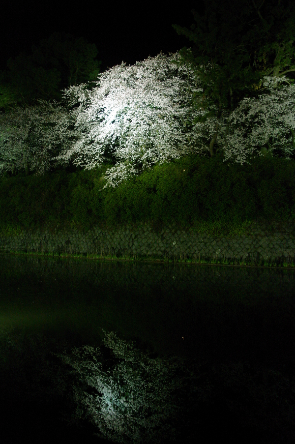 f0208490_23122798.jpg