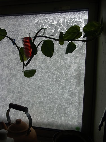 f0236291_14313386.jpg