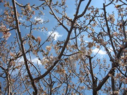 c0117898_20372135.jpg