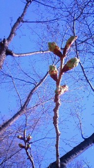 c0117898_2131230.jpg
