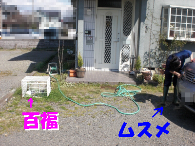 c0241498_23261711.jpg