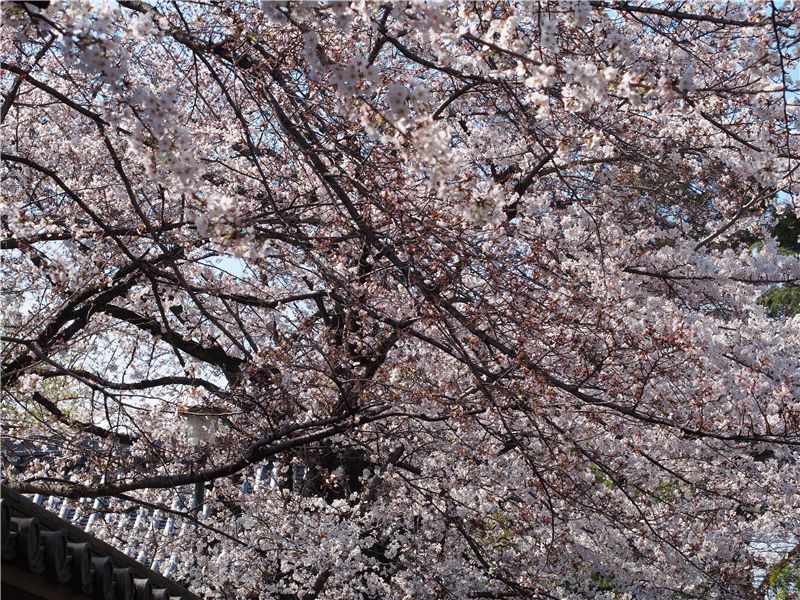f0224100_22512252.jpg