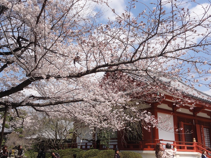 c0125501_905423.jpg