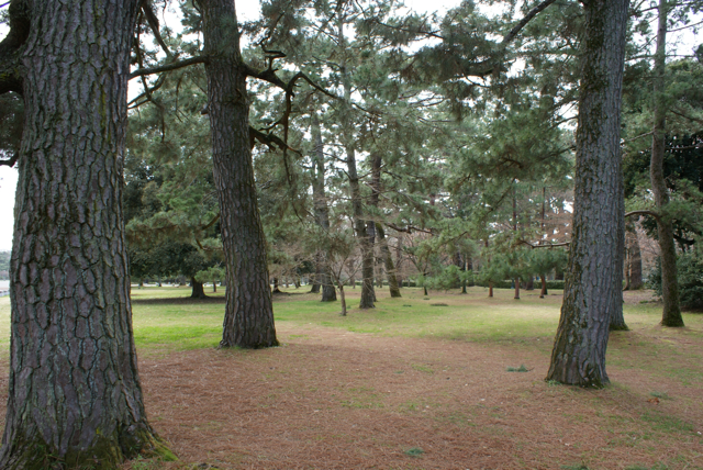 f0179202_19619.jpg
