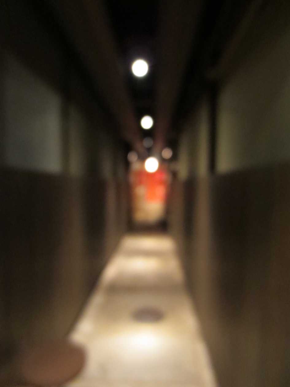 e0063003_16383388.jpg