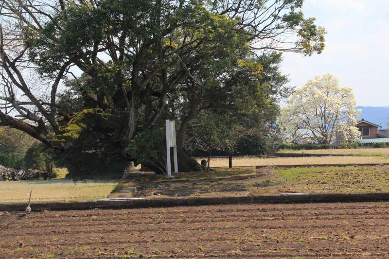 a0188405_5335315.jpg