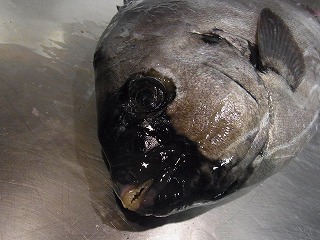 筍とあさりの卵とじ_f0157910_14282071.jpg