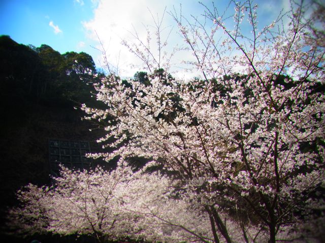 b0183911_22273885.jpg