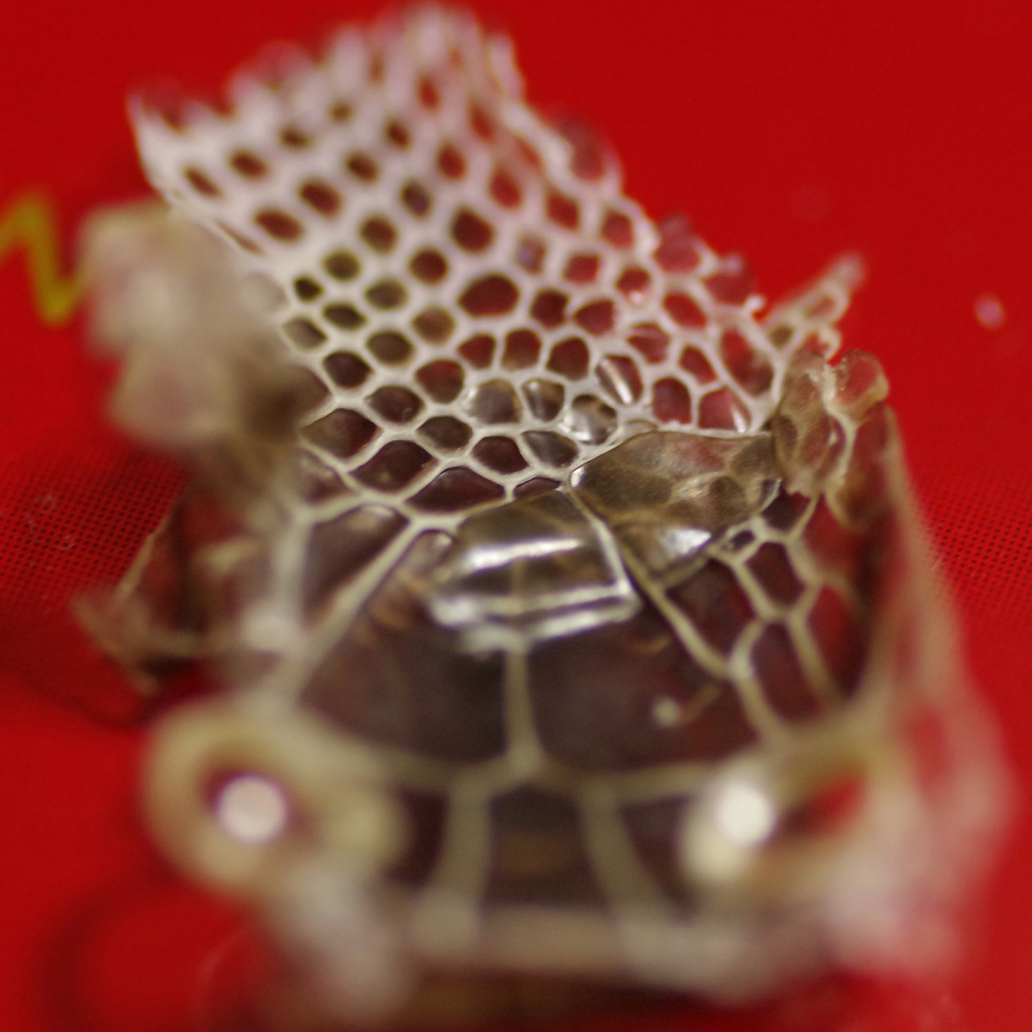 e0142611_0471163.jpg