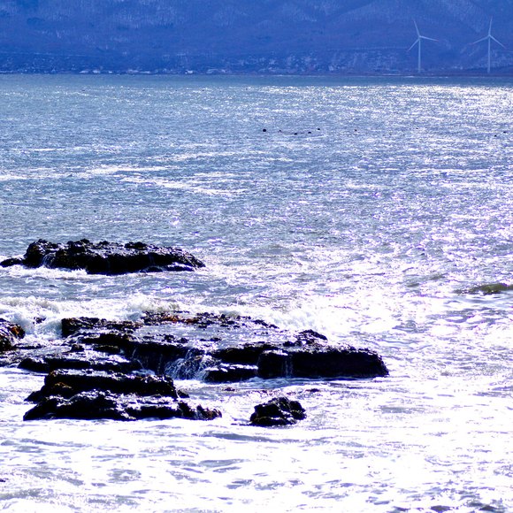 e0142611_16523328.jpg
