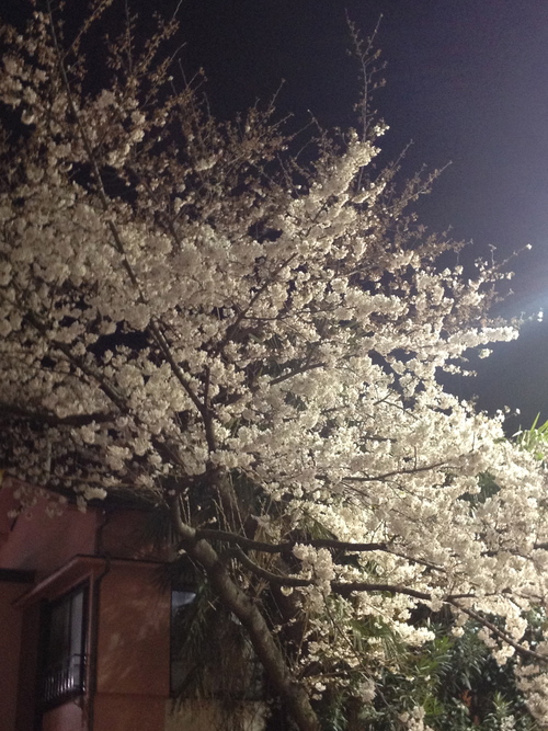 c0026612_9393229.jpg