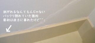 c0247614_0412750.jpg