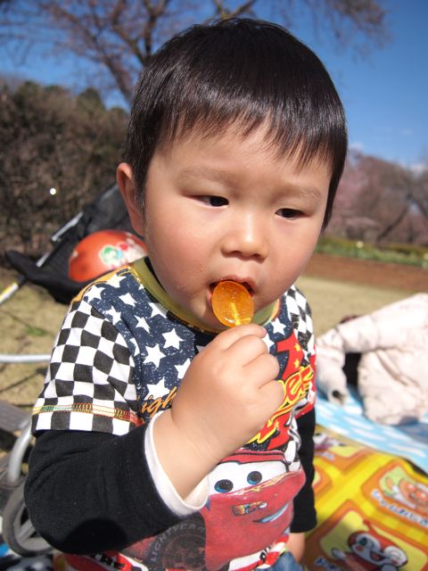 a0151615_1194830.jpg