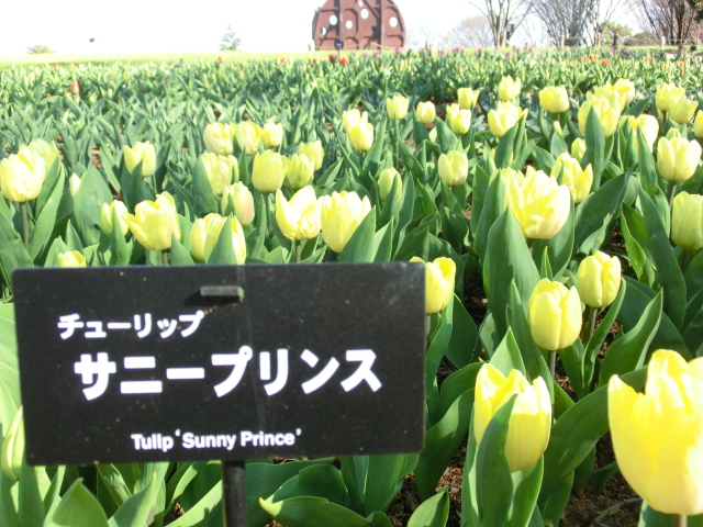 c0200916_224455.jpg