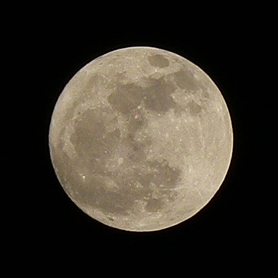 a0260019_2240915.jpg