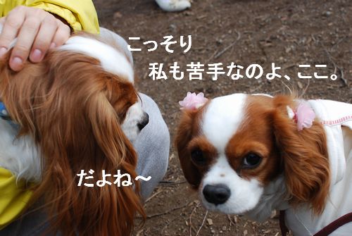f0214121_10273316.jpg