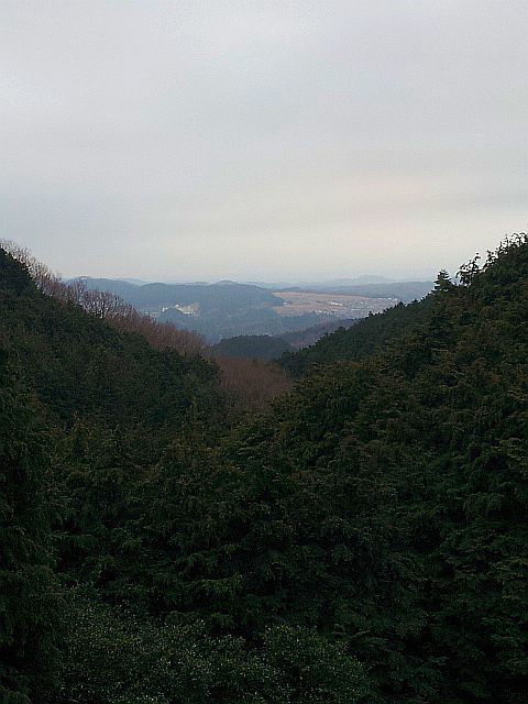 b0194923_82518.jpg