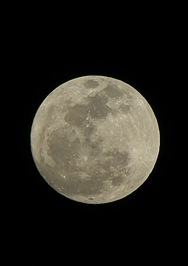 a0257124_22275890.jpg