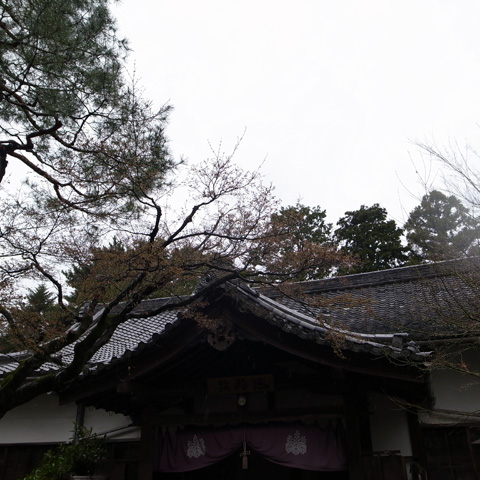 京都へ行ってきました♪ その6『世界遺産・醍醐寺』編_e0131432_14114599.jpg