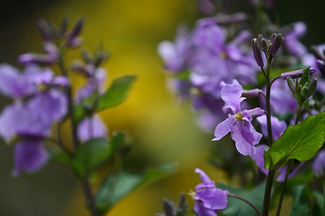 a0242438_2240105.jpg
