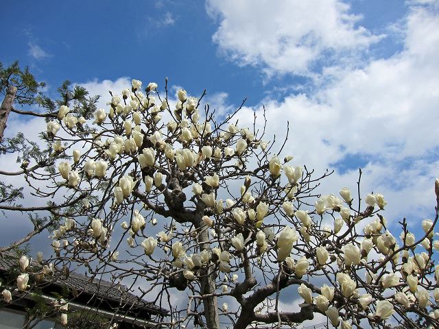 a0242438_2240526.jpg
