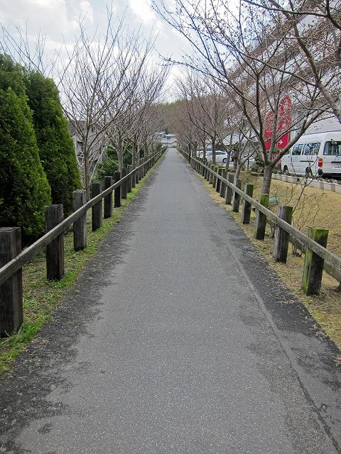 a0242438_22412885.jpg