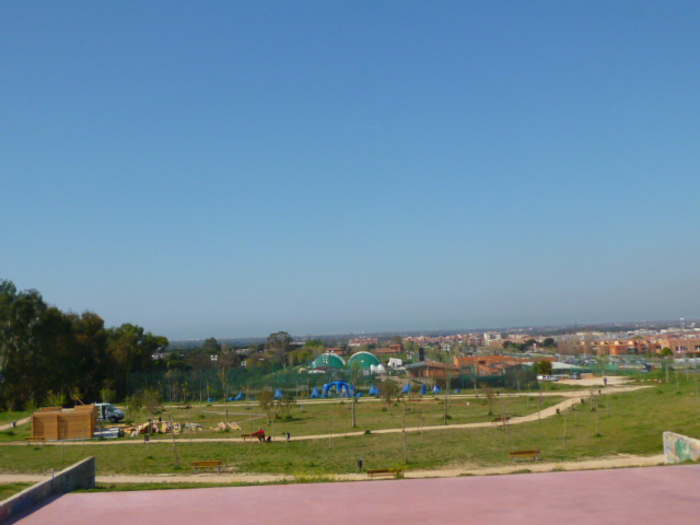 d0170140_4464954.jpg