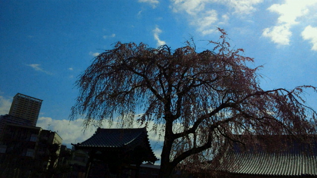 b0195849_02393.jpg