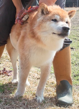 雪冷熱エネルギーと高島パンツ_d0005250_18271888.jpg