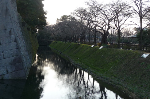 金沢城公園　さくら情報_e0002850_22451255.jpg