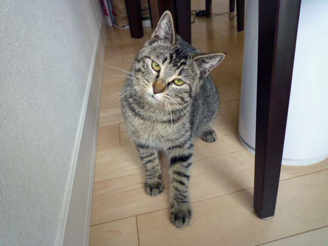 c0162160_1494676.jpg