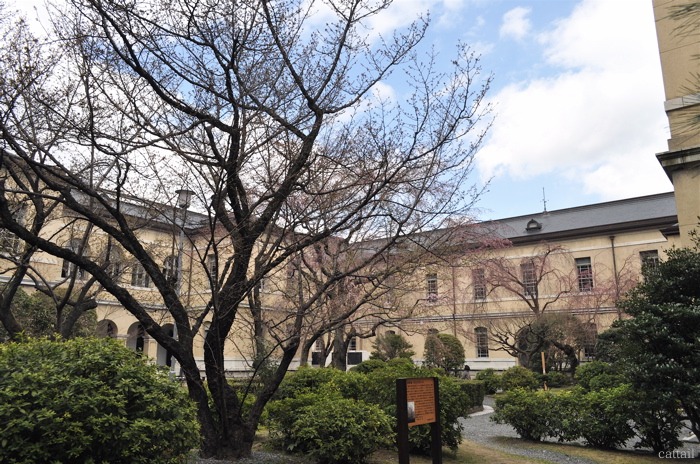 e0125762_2156885.jpg