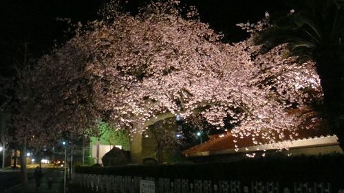 e0201364_13102420.jpg