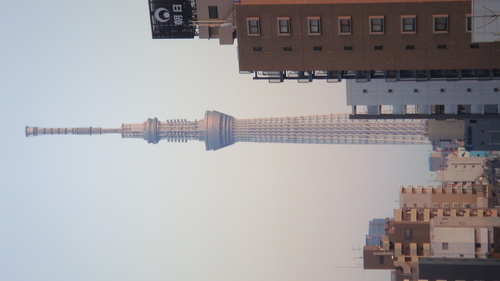 e0201364_1321087.jpg