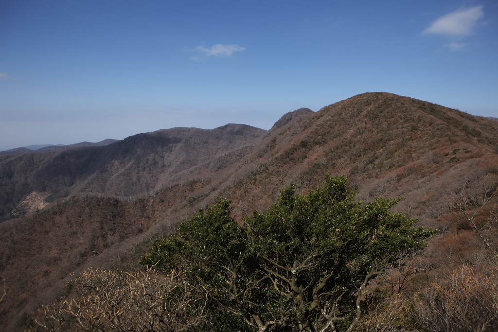 f0171065_22215631.jpg