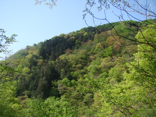 e0244967_05092.jpg