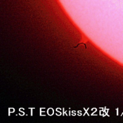 a0095470_0442420.jpg