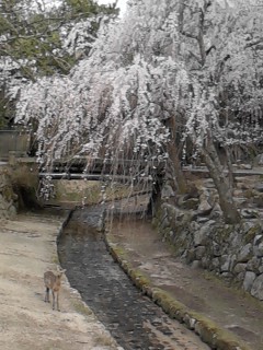 c0023171_13322390.jpg