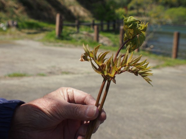 b0135573_18475323.jpg
