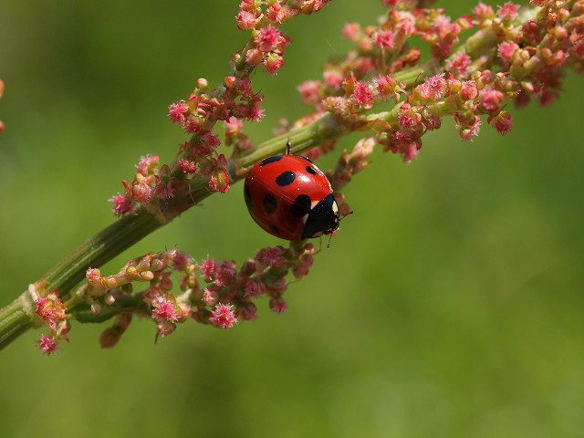 b0135573_8594631.jpg