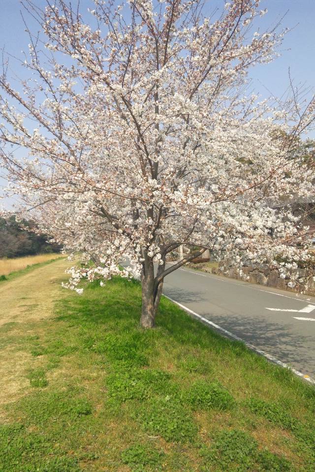 c0215176_123277.jpg